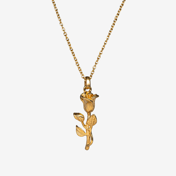 ROSE PENDANT - GOLD -  - Vibe - VIBE.PK - Gold - Rope 18" -  - Gold / Rope 18"