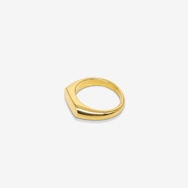 SIGNET RING - GOLD -  - Vibe - VIBE.PK - {{variant_option_1}} - {{variant_option_2}} - {{variant_option_3}} - {{variant_title}}
